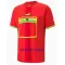 Maillot De Foot Ghana Extérieur Coupe du Monde 2022