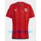 Maillot De Foot Pays de Galles Domicile Coupe du Monde 2022