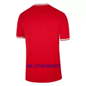 Maillot De Foot Pologne Extérieur Coupe du Monde 2022