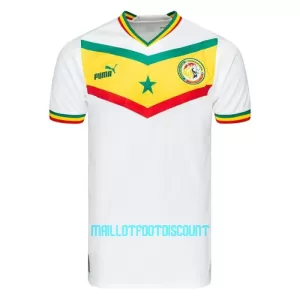 Maillot De Foot Sénégal Domicile Coupe du Monde 2022