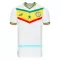 Maillot De Foot Sénégal Domicile Coupe du Monde 2022