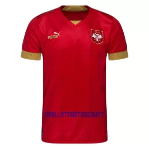 Maillot De Foot Serbie Domicile Coupe du Monde 2022