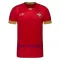 Maillot De Foot Serbie Domicile Coupe du Monde 2022