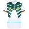 Maillot De Foot Cameroun Extérieur Coupe du Monde 2022
