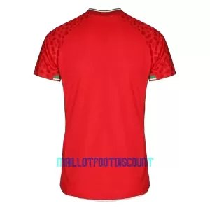 Maillot De Foot Iran Extérieur Coupe du Monde 2022