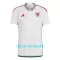 Maillot De Foot Pays de Galles Extérieur Coupe du Monde 2022