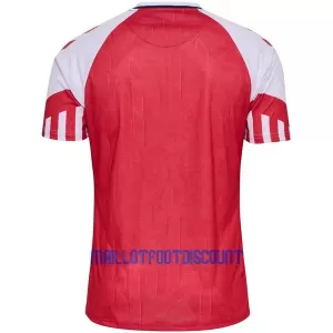 Maillot De Foot Danemark Domicile 2023