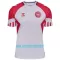 Maillot De Foot Danemark Extérieur 2023
