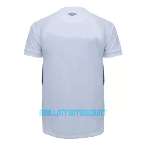 Maillot De Foot Grêmio FBPA Extérieur 23/24