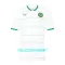 Maillot De Foot Irlande Extérieur 2023