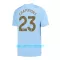 Maillot De Foot Manchester City Champions 23 Domicile 23/24