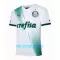 Maillot De Foot Palmeiras Extérieur 23/24