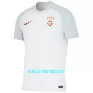 Maillot De Foot Galatasaray SK Extérieur 23/24