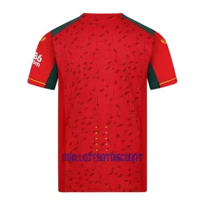 Maillot De Foot Wolverhampton Wanderers Extérieur 23/24