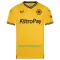Maillot De Foot Wolverhampton Wanderers Domicile 23/24