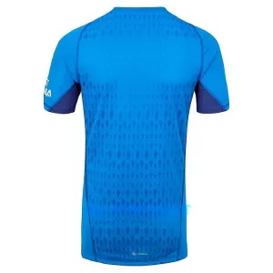 Maillot De Foot Gardien Arsenal Extérieur 23/24