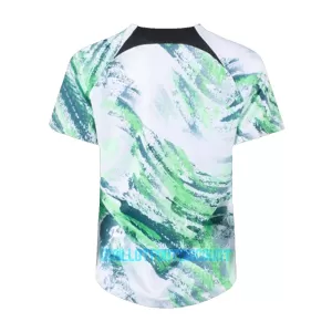 Maillot De Foot Nigéria 23/24 - Spécial