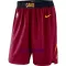 Pantalons Cleveland Cavaliers Icon Edition Swingman