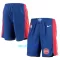 Pantalons Detroit Pistons Icon Edition Swingman