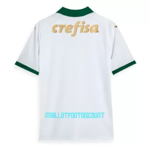 Maillot De Foot Palmeiras Extérieur 24/25