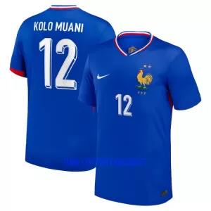 Maillot De Foot France Kolo Muani 12 Domicile Euro 2024 Maillot De Foot France Kolo Muani 12 Domicile Euro 2024