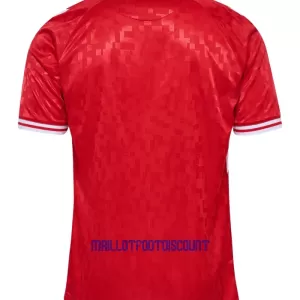 Maillot De Foot Danemark Domicile Euro 2024