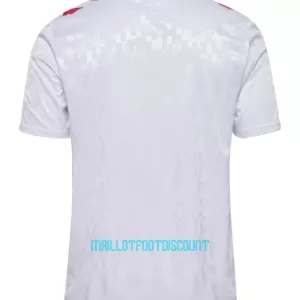 Maillot De Foot Danemark Extérieur Euro 2024