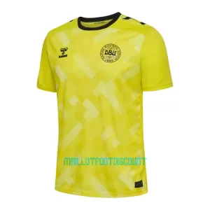 Maillot De Foot Gardien Danemark Euro 2024 Jaune Maillot De Foot Gardien Danemark Euro 2024 Jaune