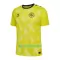 Maillot De Foot Gardien Danemark Euro 2024 Jaune