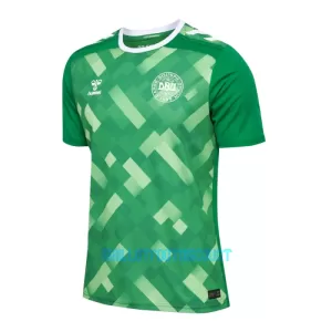 Maillot De Foot Gardien Danemark Euro 2024 Vert Maillot De Foot Gardien Danemark Euro 2024 Vert