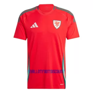 Maillot De Foot Pays de Galles Domicile 2024