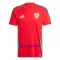 Maillot De Foot Pays de Galles Domicile 2024