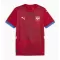 Maillot De Foot Serbie Domicile Euro 2024