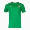 Maillot De Foot Irlande Domicile 24/25