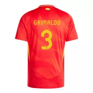 Maillot De Foot Espagne Alejandro Grimaldo 3 Domicile Euro 2024 Maillot De Foot Espagne Alejandro Grimaldo 3 Domicile Euro 2024