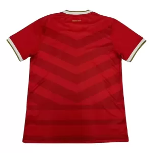 Maillot De Foot Panama Domicile 2024