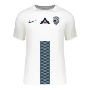 Maillot De Foot Slovénie Domicile Euro 2024 Maillot De Foot Slovénie Domicile Euro 2024
