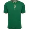 Maillot De Foot AS Saint-Étienne Anniversaire 23/24