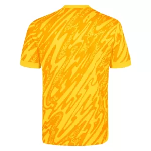 Maillot De Foot Gardien Tottenham Hotspur 24/25 Jaune
