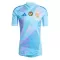 Maillot De Foot Gardien Hongrie Euro 2024 Bleu