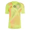 Maillot De Foot Gardien Hongrie Euro 2024 Jaune