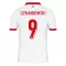 Maillot De Foot Pologne Robert Lewandowski 9 Domicile Euro 2024