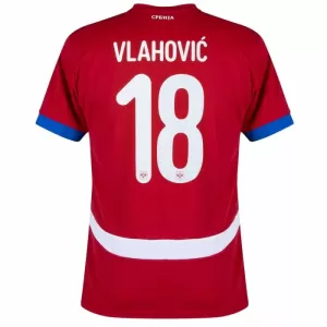 Maillot De Foot Serbie Dušan Vlahovic 18 Domicile Euro 2024