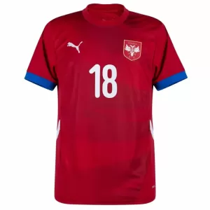 Maillot De Foot Serbie Dušan Vlahovic 18 Domicile Euro 2024