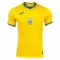 Maillot De Foot Ukraine Domicile Euro 2024