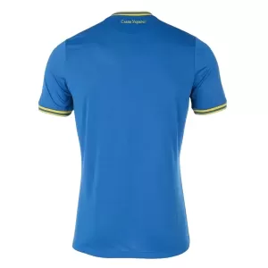Maillot De Foot Ukraine Extérieur Euro 2024