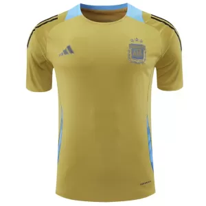 Maillot De Foot Argentine Pre-Match 2024 Jaune