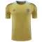 Maillot De Foot Argentine Pre-Match 2024 Jaune