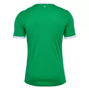 Maillot De Foot AS Saint-Étienne Domicile 24/25