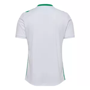 Maillot De Foot AS Saint-Étienne Extérieur 24/25
